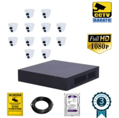 Kit de videovigilancia FULL HD 12 cámaras domo exterior...