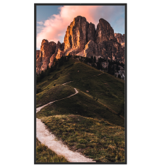 monitor alto brillo 43