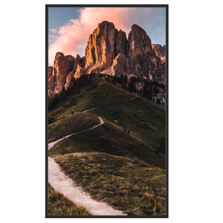 monitor alto brillo 43