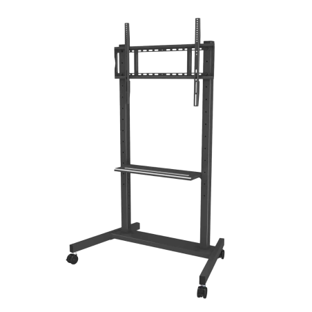 Soporte de ruedas Peso soportado 100 Kg VESA 800x600 mm Altura ajustable manual