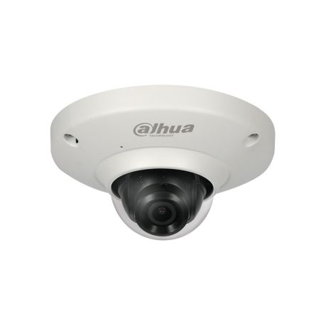 MINIDOMO IP COLOR DÍA/NOCHE PARA EXTERIOR, ojo de pez,  5MPX