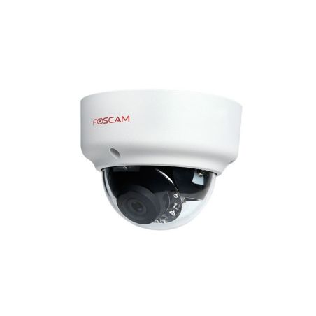 FOSCAM D2EP - CÁMARA IP POE ANTIVANDÁLICA IK10, SLOT MICRO SD,2,0MPX HD 1080P, AI DETECCIÓN HUMANA