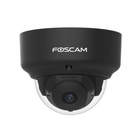 Cámara IP PoE, 2Mpx, Antivandálica IK10, Slot micro SD, AI Detección humana, Negra