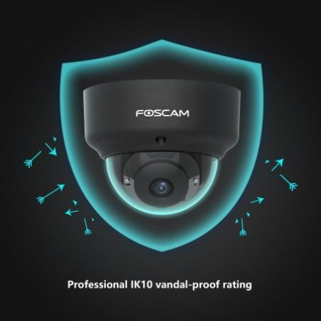 Cámara IP PoE, 2Mpx, Antivandálica IK10, Slot micro SD, AI Detección humana, Negra