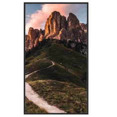 Monitor Digital Signage 49" SAFIRE Alto Brillo Full HD...
