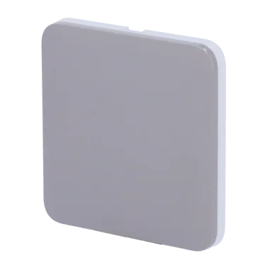 Panel táctil interruptor luz Ajax LightSwitch Gris