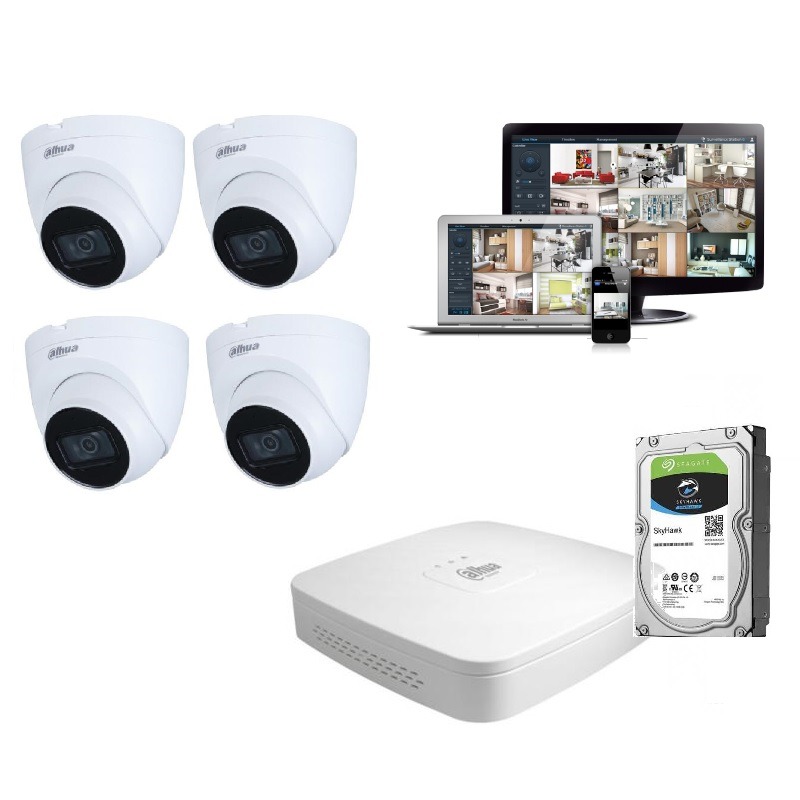 Kits de videovigilancia: ¿IP o analógicos? 